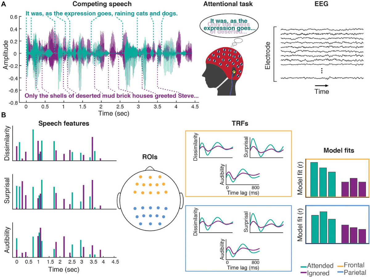 Psycholinguistic Factors in Second Language Acquisition