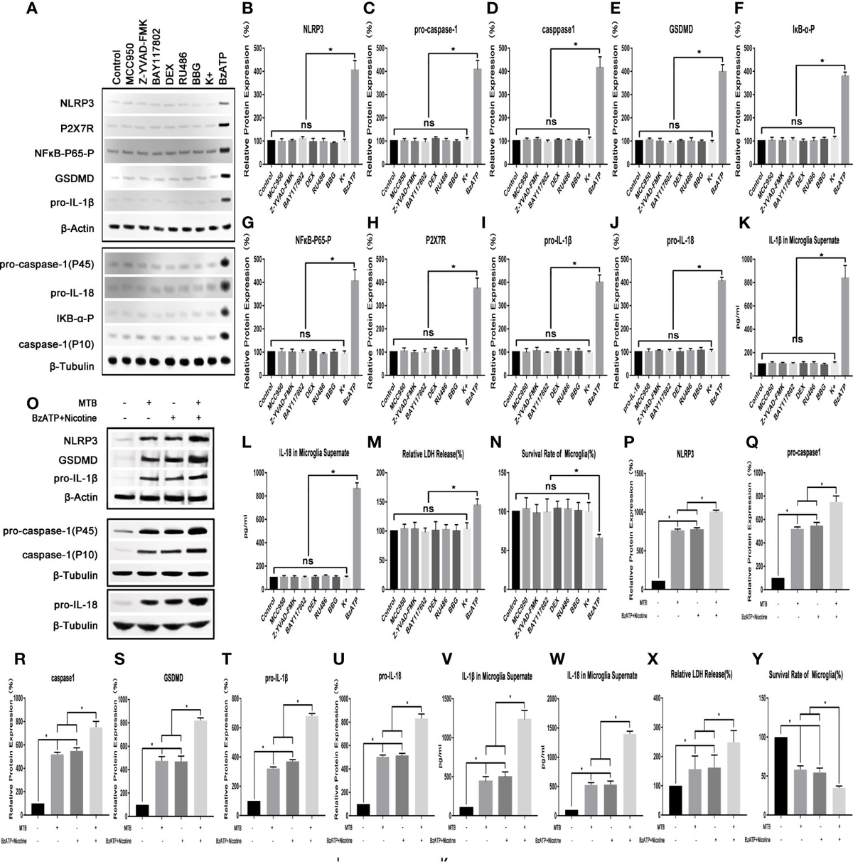 Frontiers | By Regulating the NLRP3 Inflammasome Can Reduce
