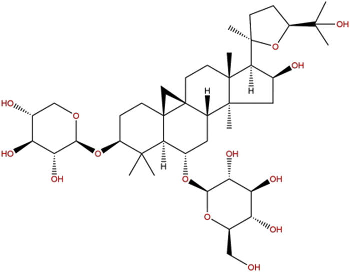 Frontiers | Neuroprotective Effect of Astragaloside IV on