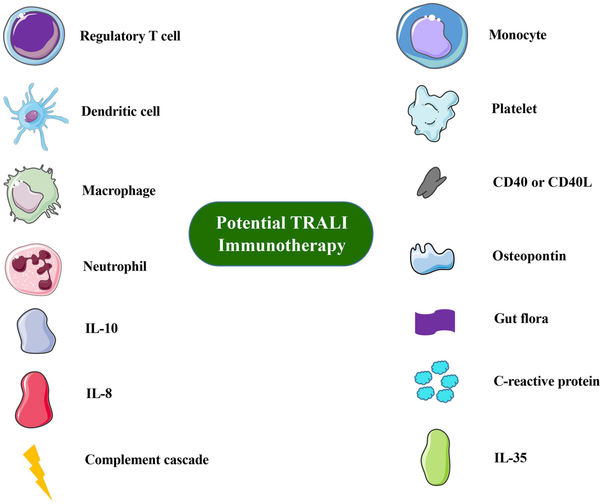 Frontiers | The Immune System in Transfusion-Related Acute Frontiers | The Immune System in Transfusion-Related Acute