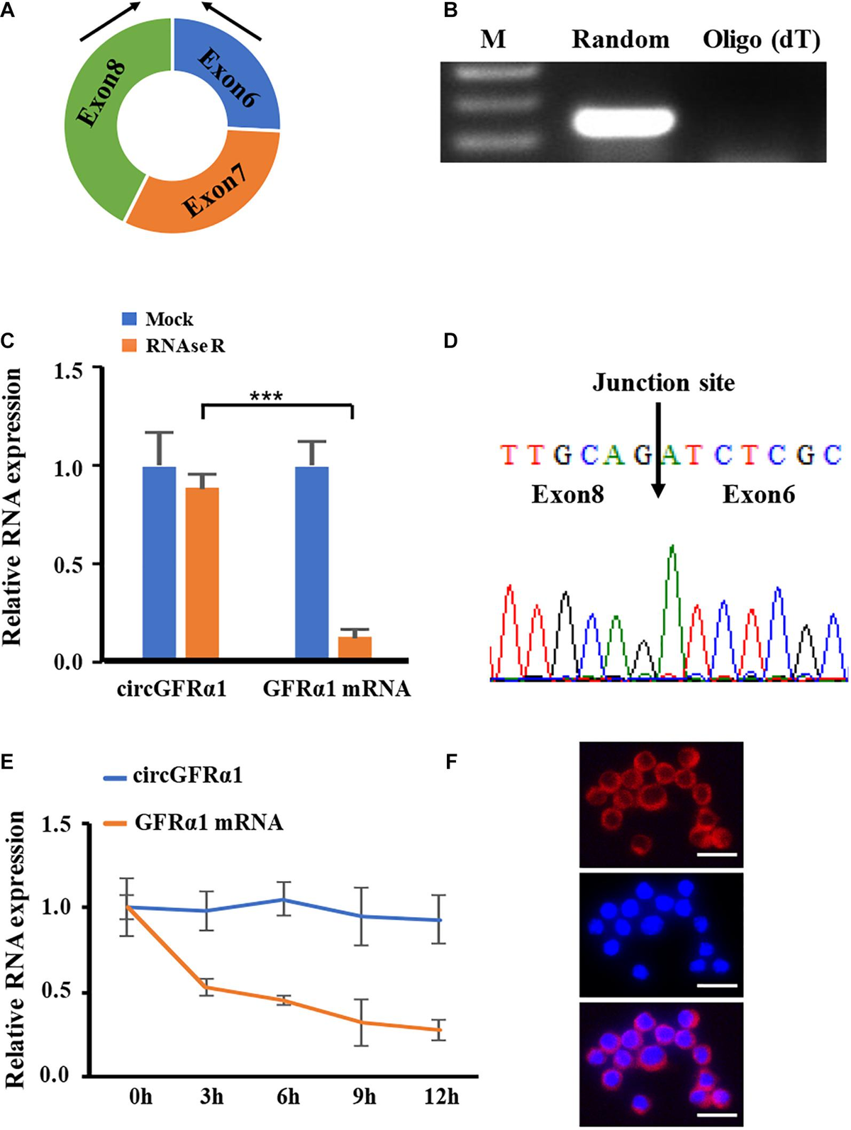 じゅん Plant–Fungi Mutualism, Alternative Splicing, and Defense