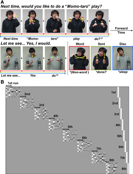 Frontiers | Functional and anatomical correlates of word
