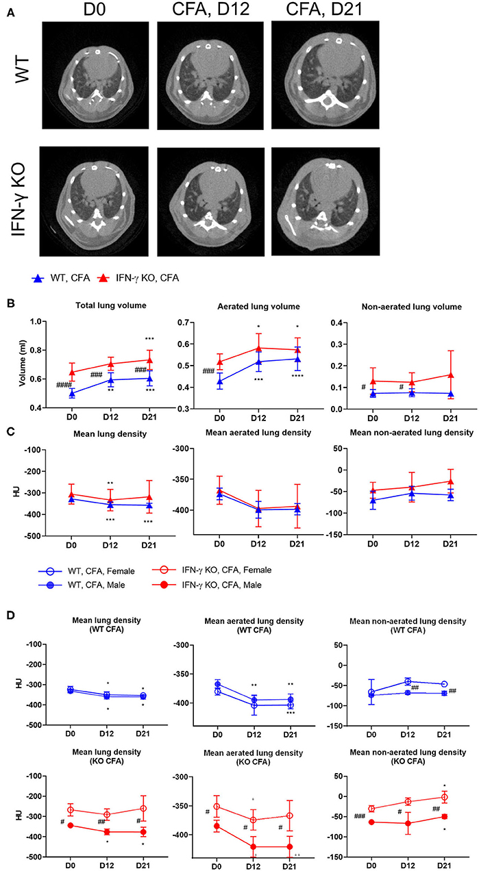 Frontiers | Lung Functioning and Inflammation in a Mouse