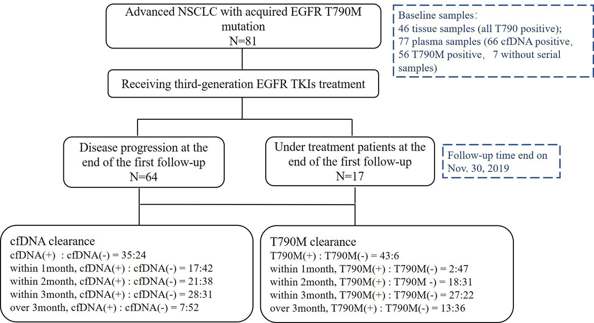 その他 yu-na U-DOT（ユードット）HIGH CUT SNEAKER（ハイカットスニーカー
