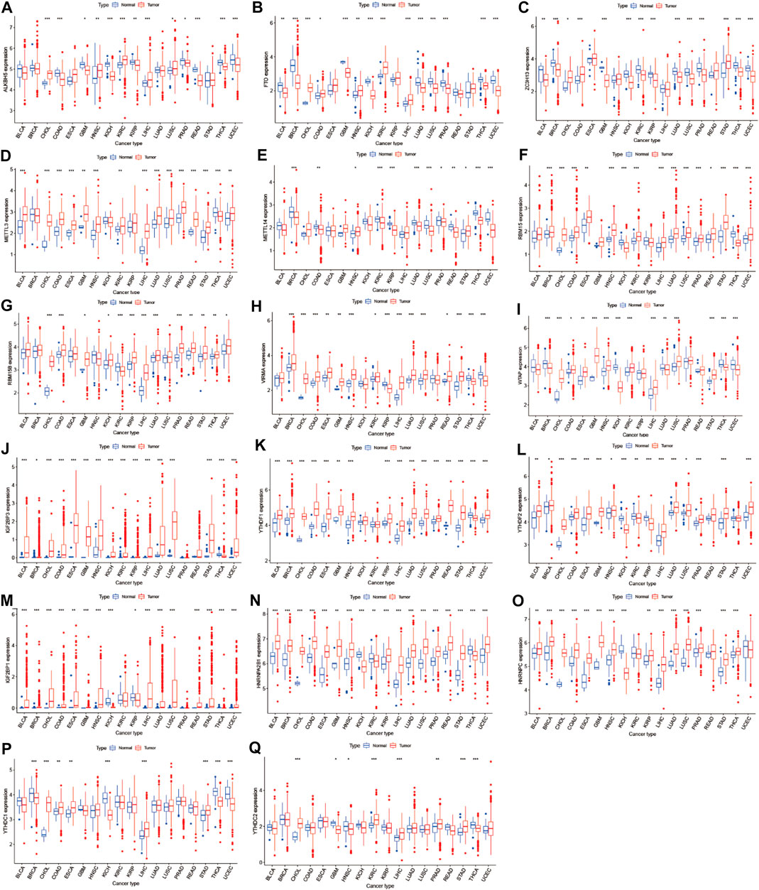 その他 yu Frontiers | Pan-Cancer Prognostic, Immunity, Stemness, and