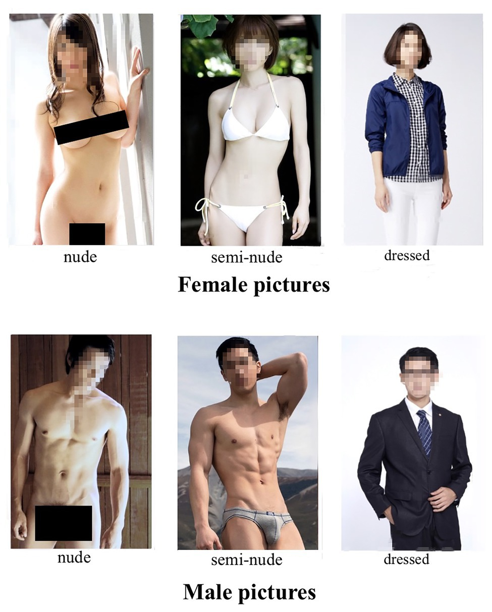 Frontiers The East Asian Erotic Picture Dataset and Gender  