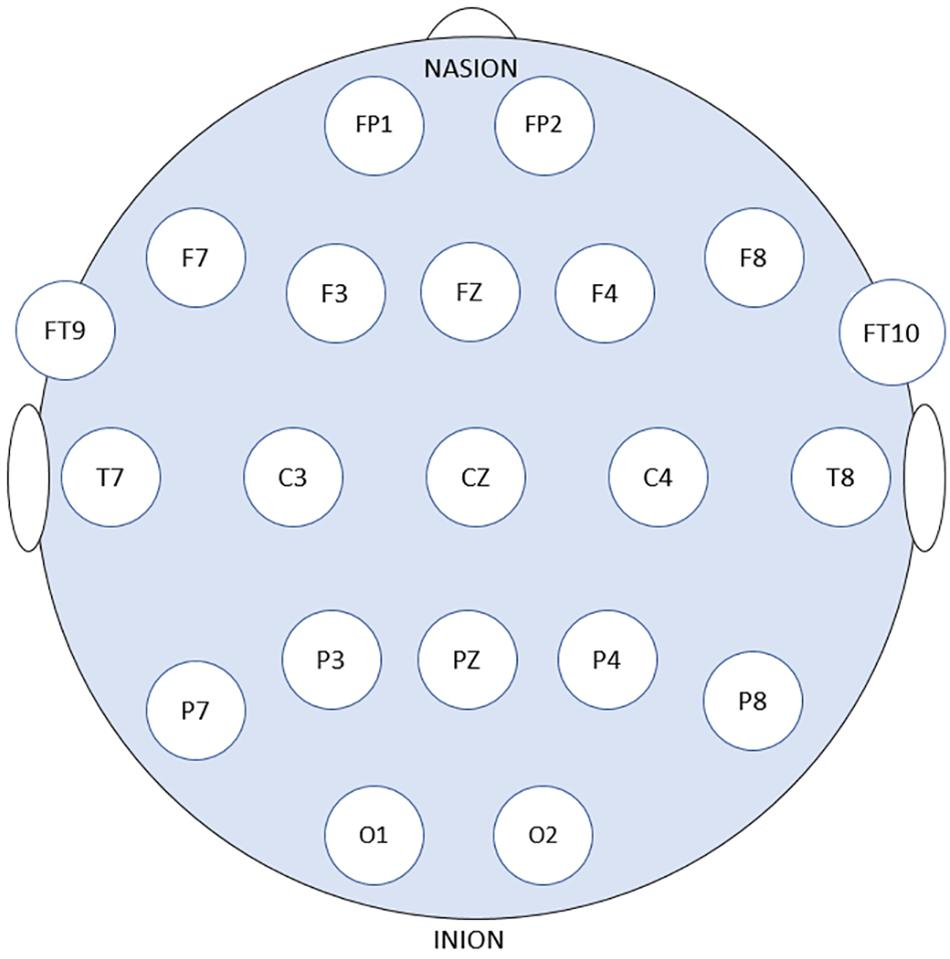 Bilateral 5 Hz transcranial alternating current stimulation