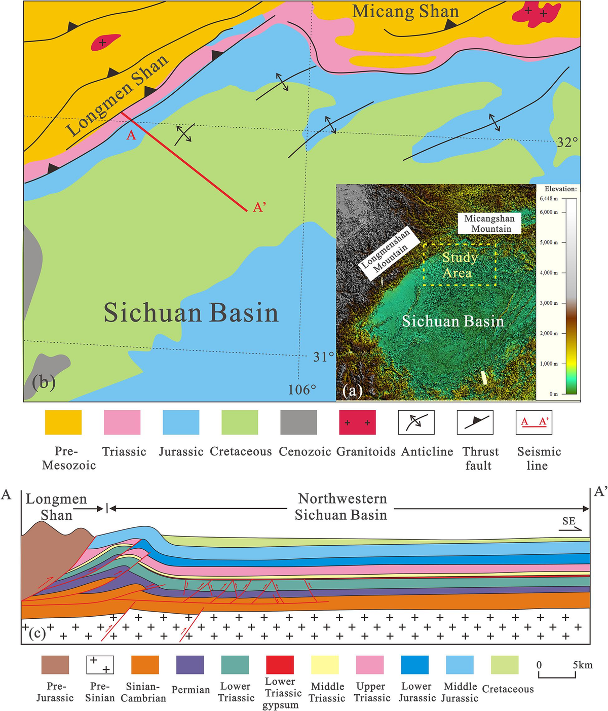 Frontiers | Structural Features and Evolution of the