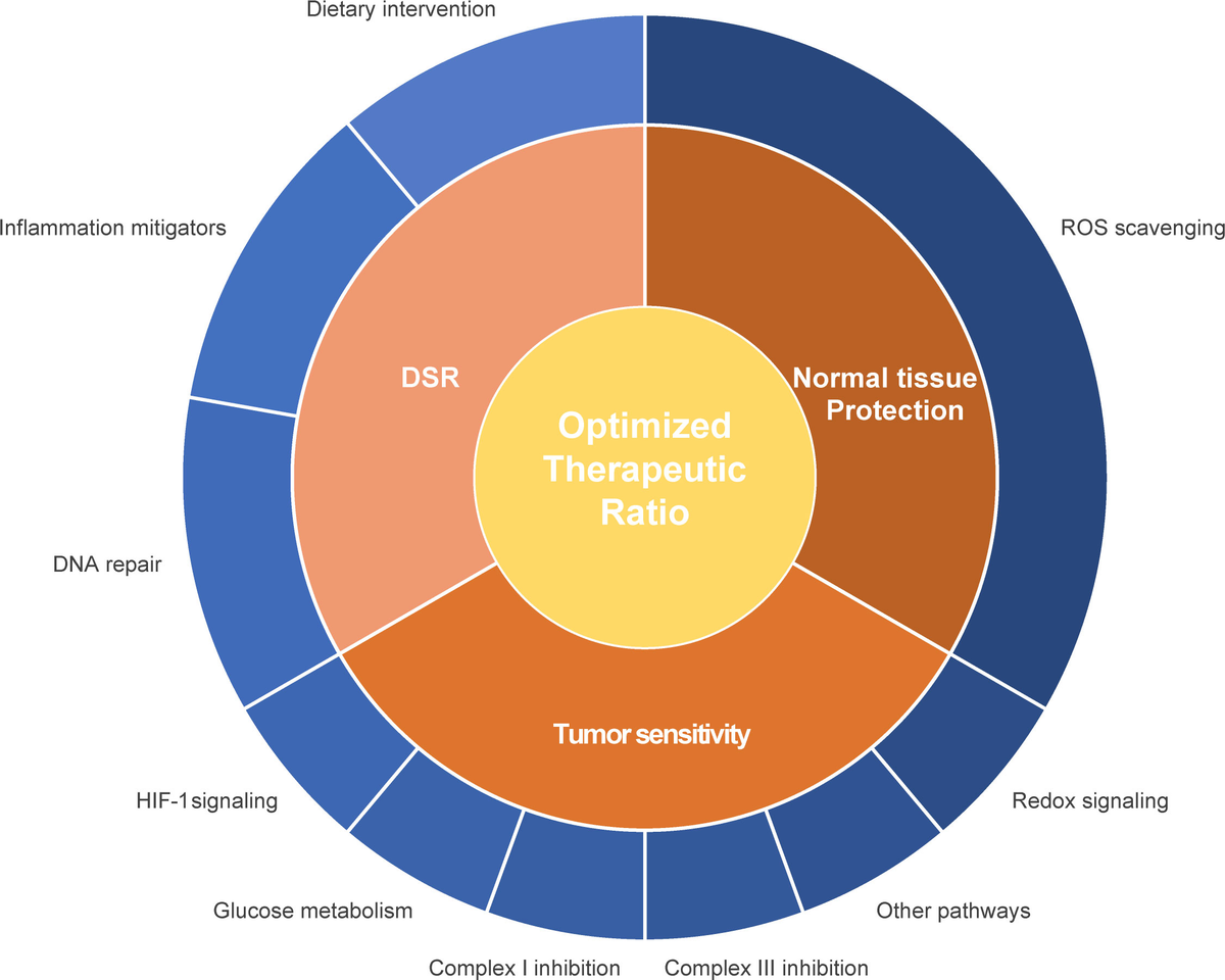 Frontiers | Metabolic Rewiring in Radiation Oncology Toward Frontiers | Metabolic Rewiring in Radiation Oncology Toward