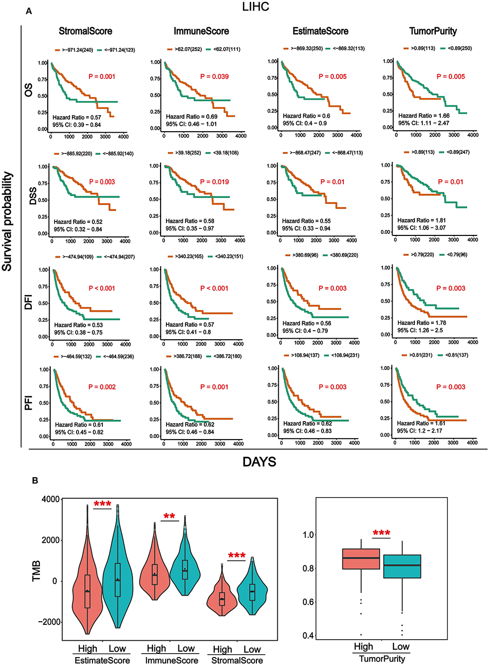 Frontiers | Identification of Prognostic Genes in the Tumor
