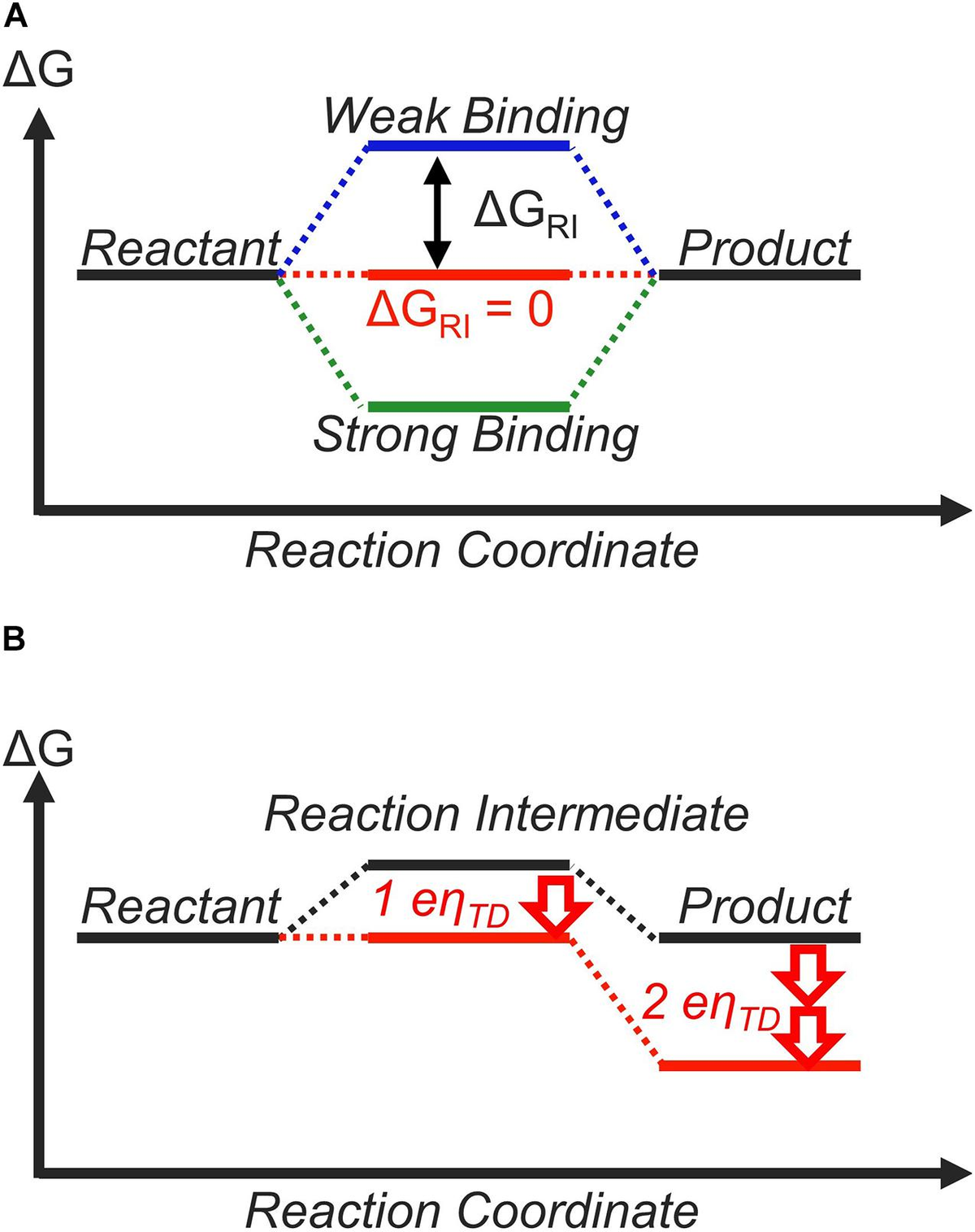 Frontiers | The Sabatier Principle in Electrocatalysis: Basics 