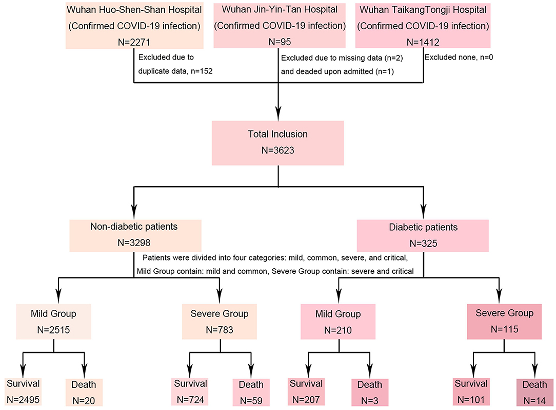 ユウ fmed-08-655604-g001.jpg