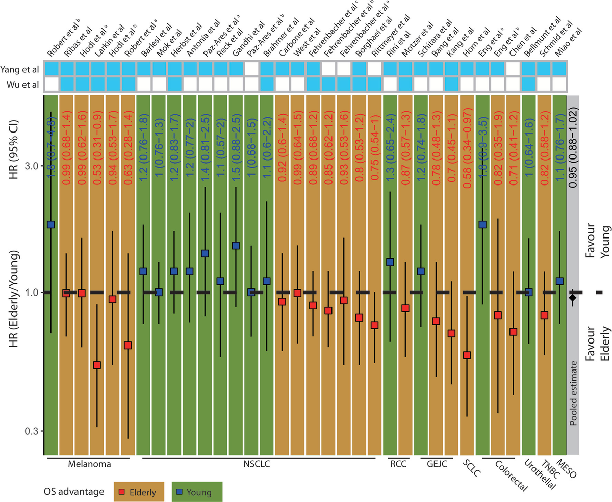 Frontiers | Age-Related Differences in Molecular Profiles