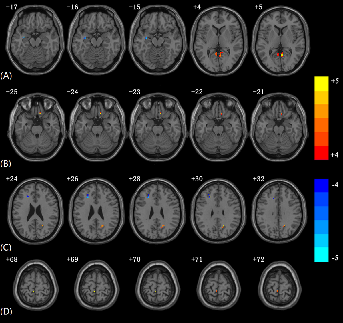 fnins-15-657576-g001.jpg fnins-15-657576-g001.jpg