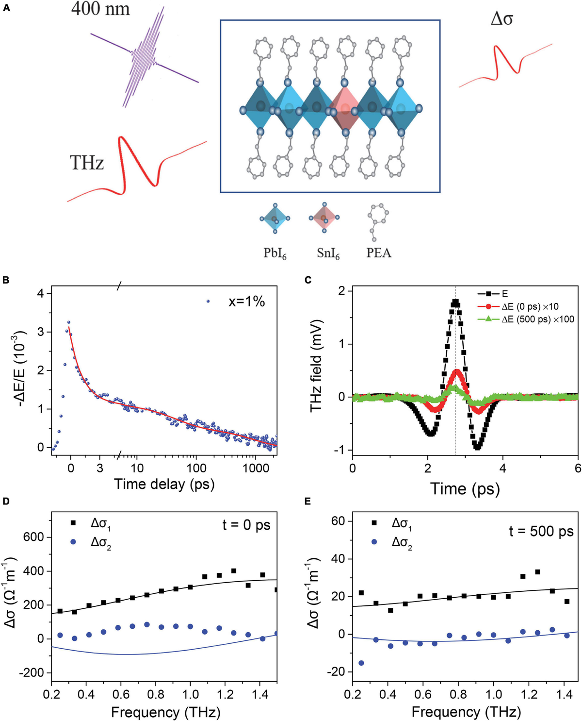CHEMISTRY 5'2 小波ボード Frontiers | Charge Carrier Dynamics in Sn-Doped Two