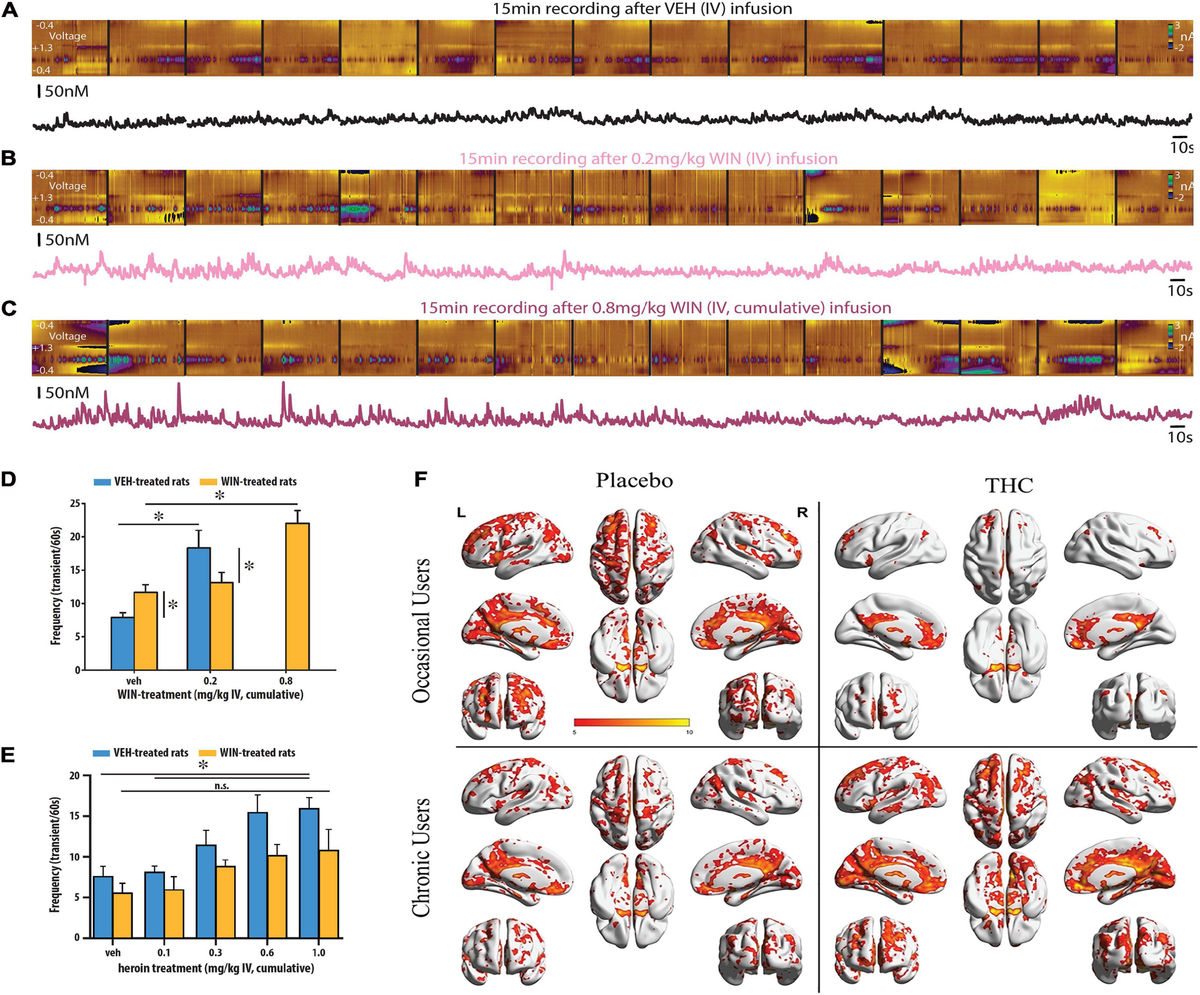 Frontiers | Cannabinoid Modulation of Dopamine Release