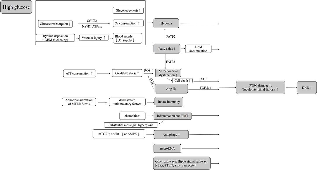 ryu様オーダー Optimizing the Reinforcement of Polymer-Based Nanocomposites by