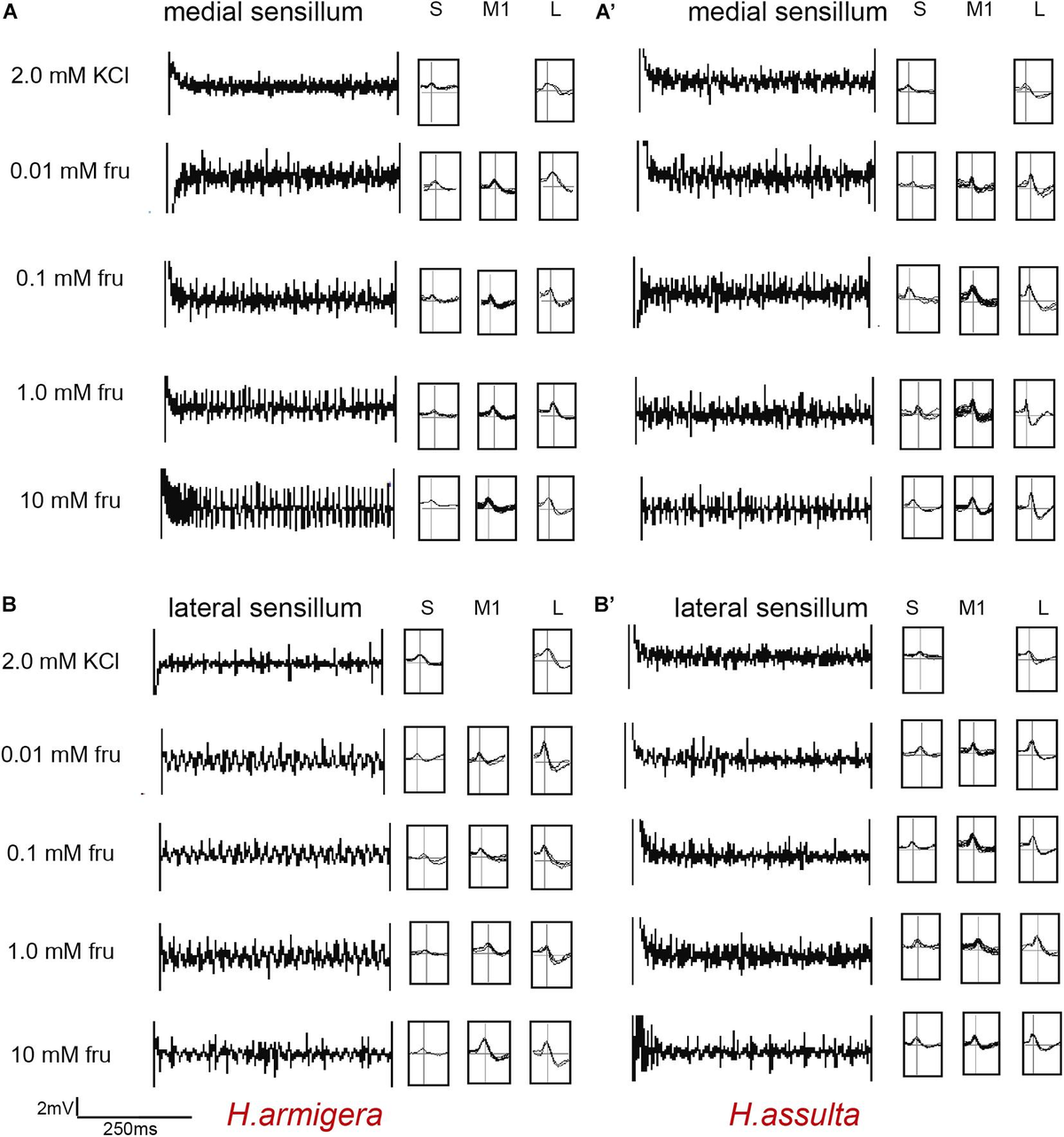 【ケム】 Experimental validation of adaptive pedicle screws—a novel