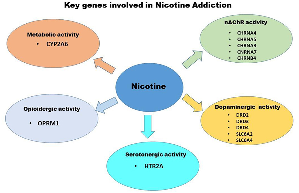 Frontiers | Multifactorial Etiology of Adolescent Nicotine 