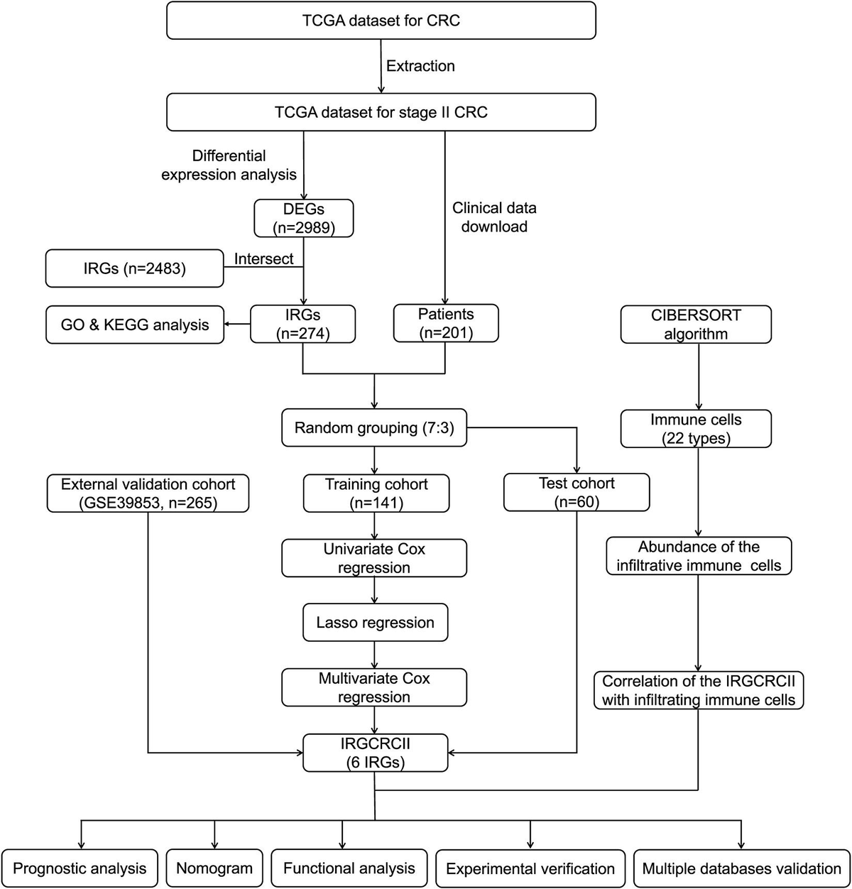 Valorization of sewage sludge for facile and green wood bio
