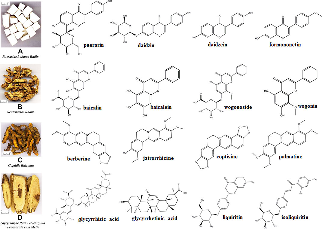 Y Frontiers | Constituents, Pharmacokinetics, and Pharmacology