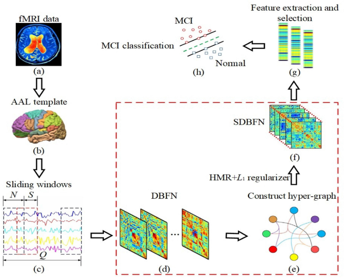 お手頃価格 Frontiers Networks Functional Brain Dynamic Constructing | タイムセール