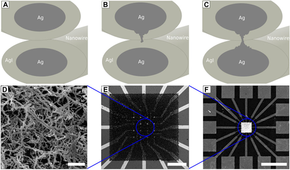 fnano-03-675792-g001.jpg