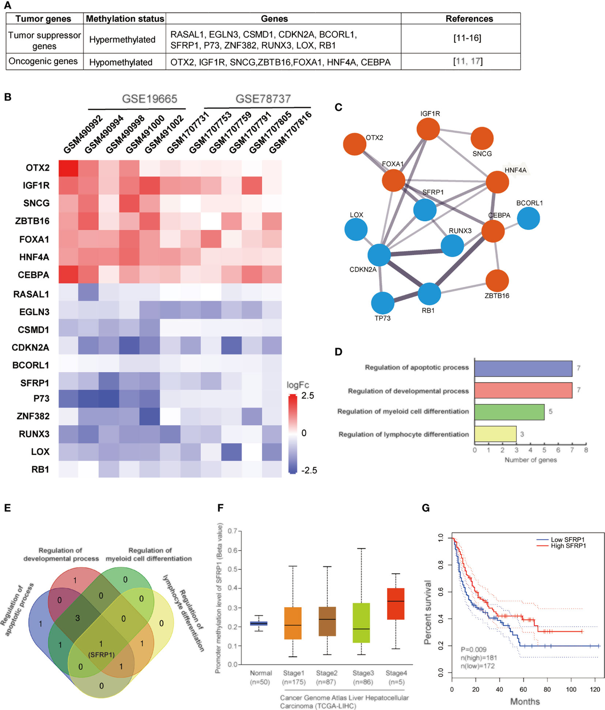 メーカー直売所 Frontiers HCV-Induced in Involved Mechanisms Epigenetic | メンテナンス