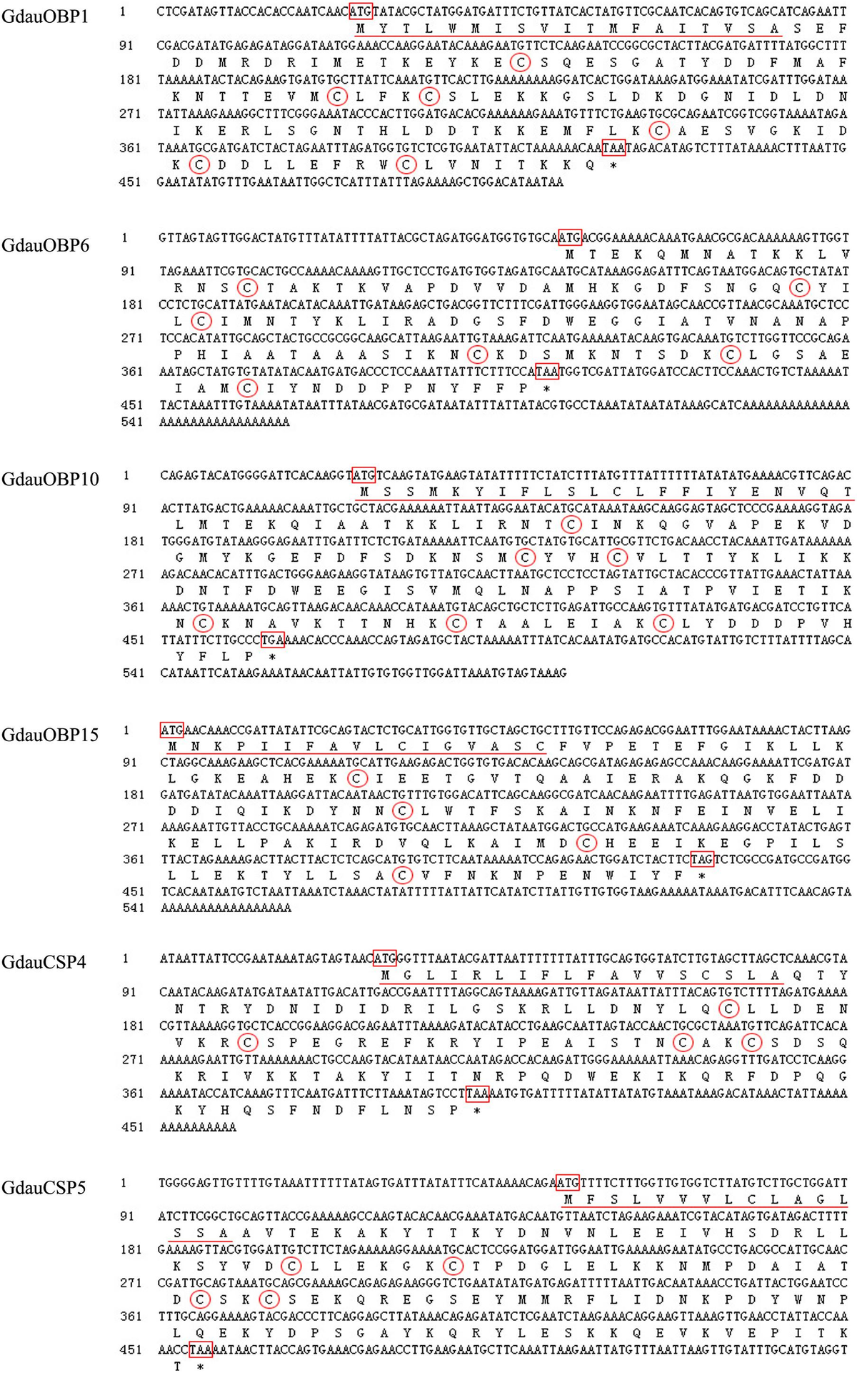 Ry様 Factors Controlling Differences in Morphology and Fractal