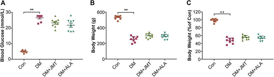 Frontiers | Jinmaitong Alleviates Diabetic Neuropathic Pain