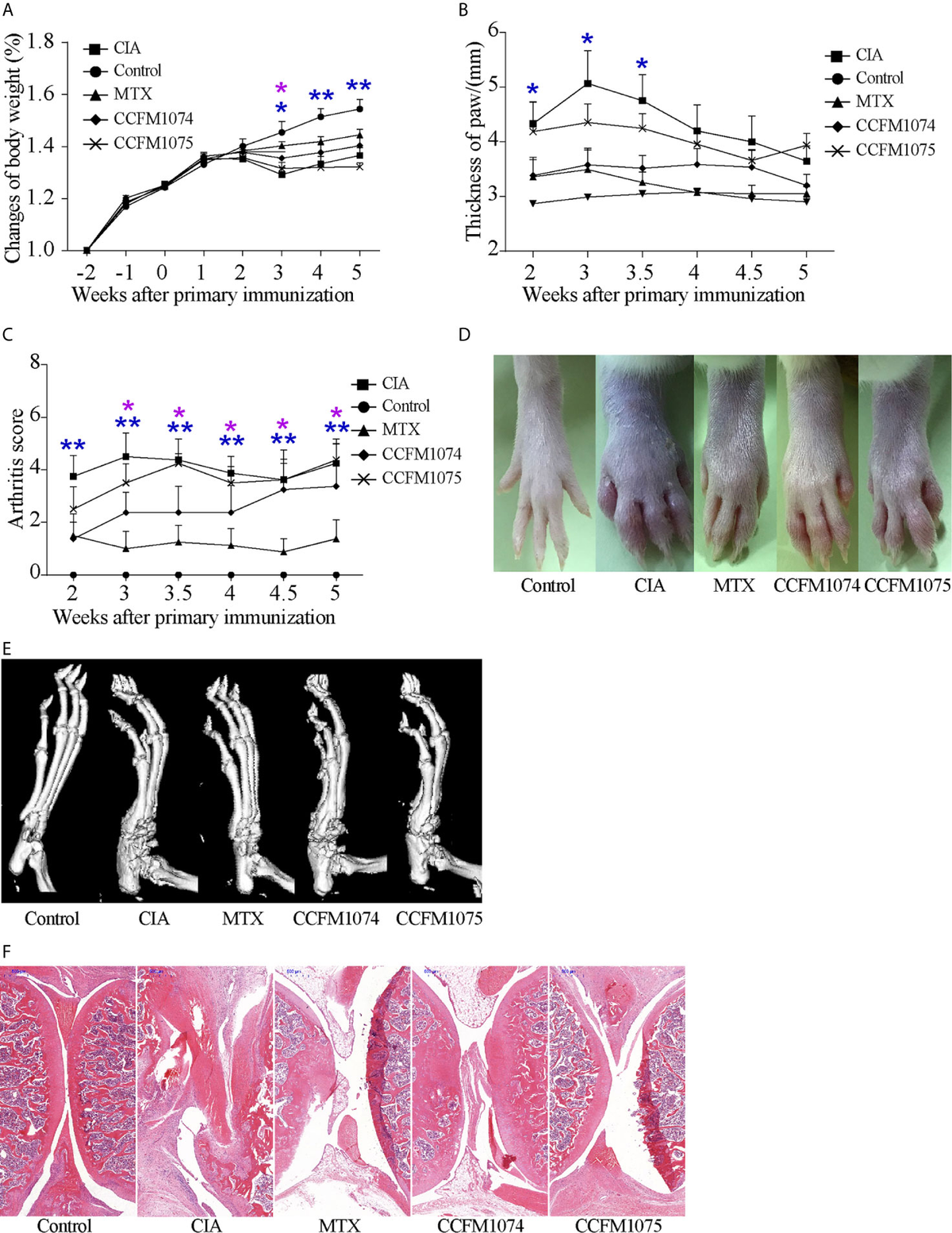【売れ筋】 Frontiers | Lactobacillus casei CCFM1074 Alleviates Collagen その他