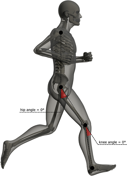 Running biomechanics and exercise… eeda7ed5171fe6fa35d8b5de99504d