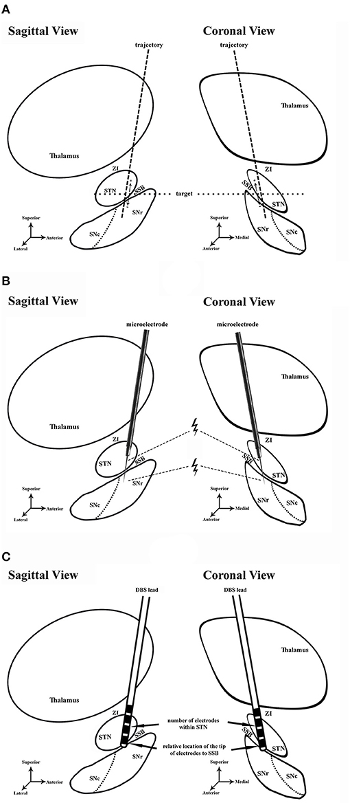 Spatial- and Temporal-Trajectory Analysis of the Crested