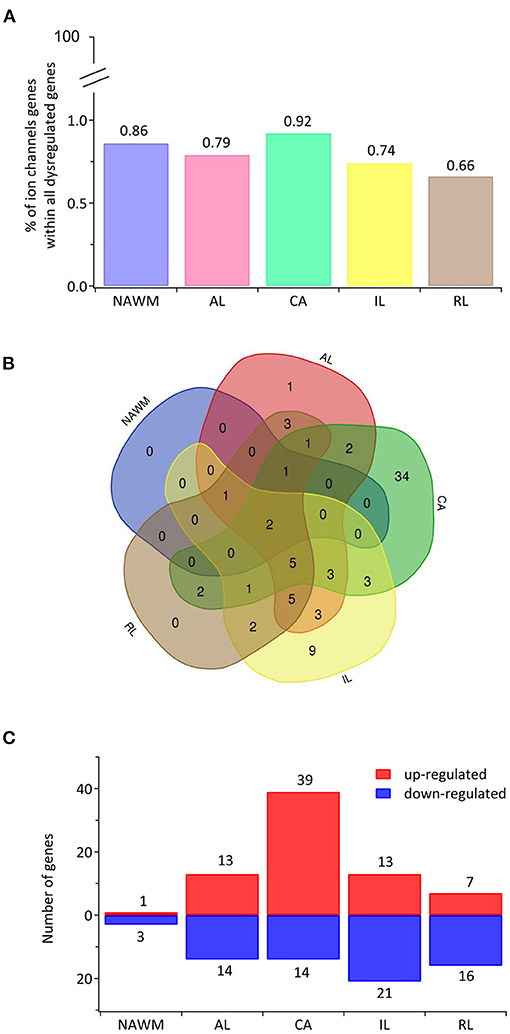 春夏新作モデル Frontiers | Altered Expression of Ion Channels in White ジャケット・アウター