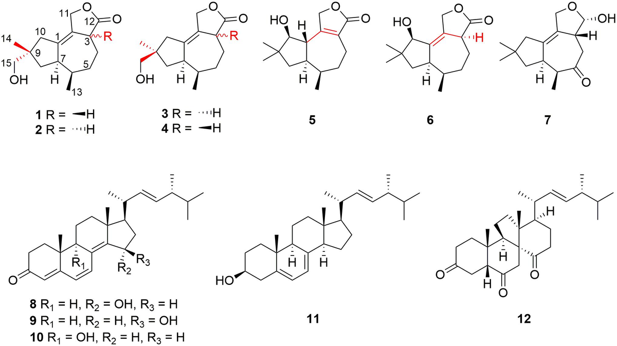 Frontiers | Sesquiterpenoids From the Antarctic Fungus