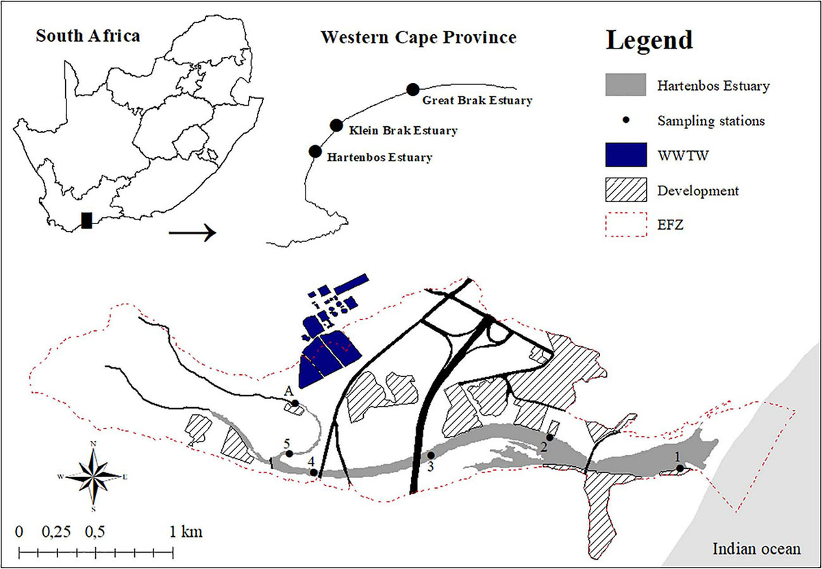 Eutrophication in Coastal Marine Ecosystems (Coastal and