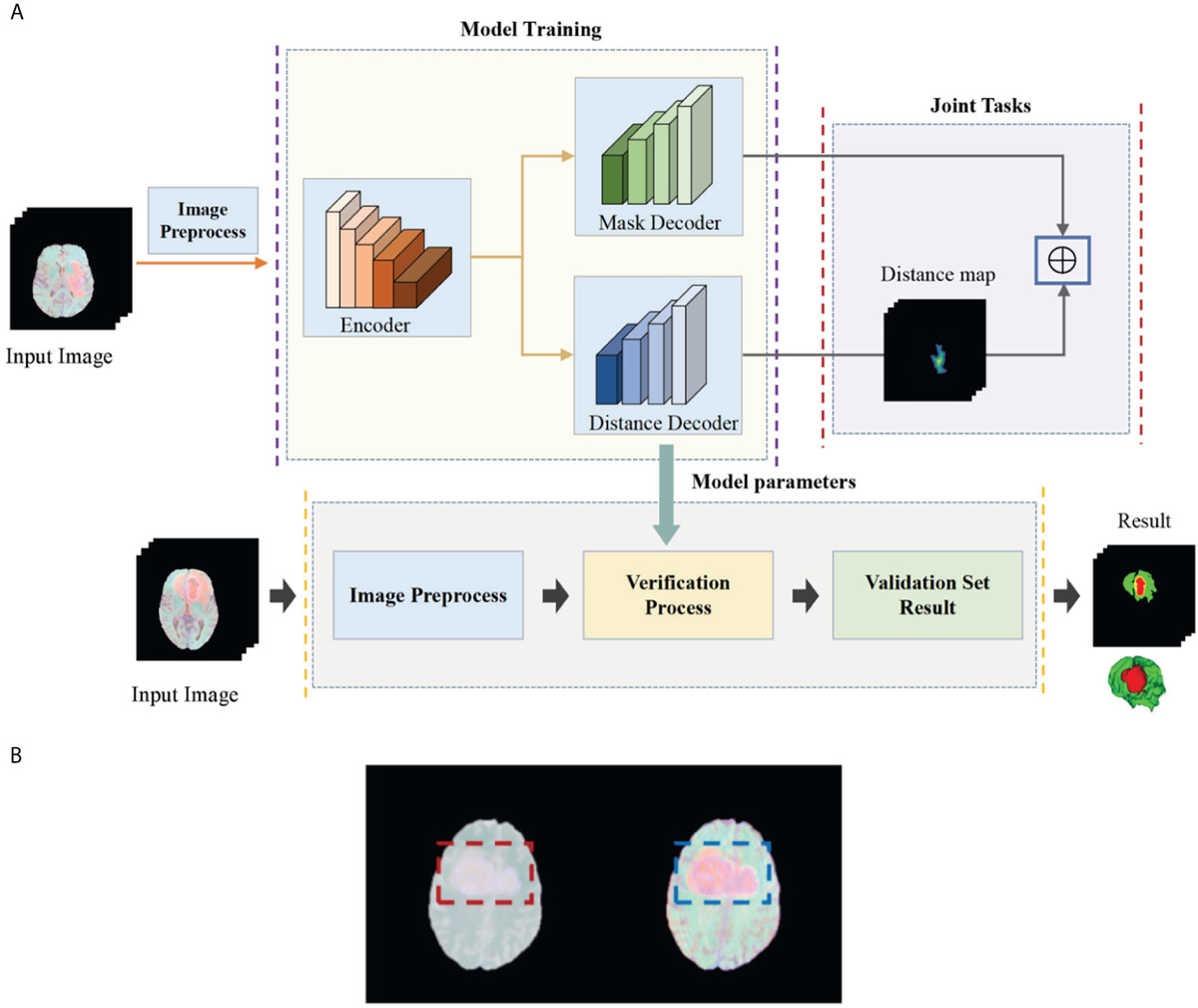 Frontiers | A Deep Multi-Task Learning Framework for Brain