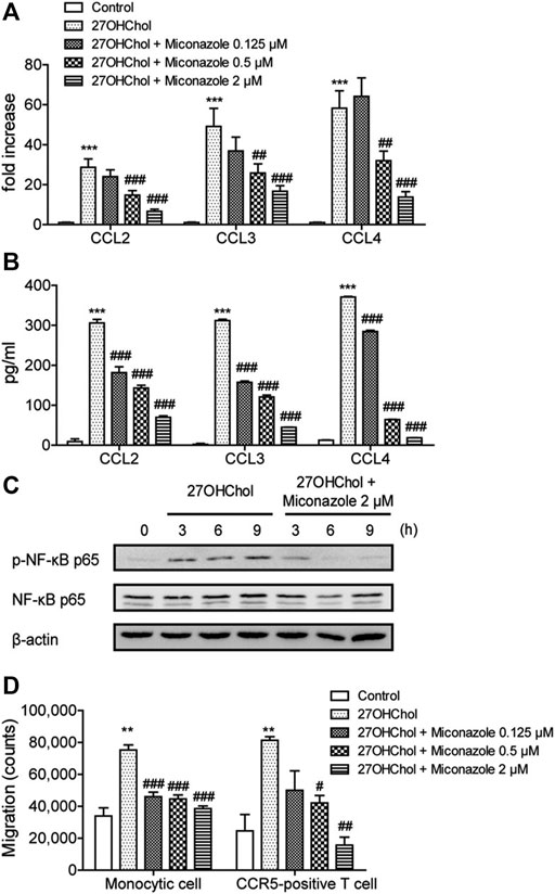 Frontiers Miconazole Suppresses 27 Hydroxycholesterol induced
