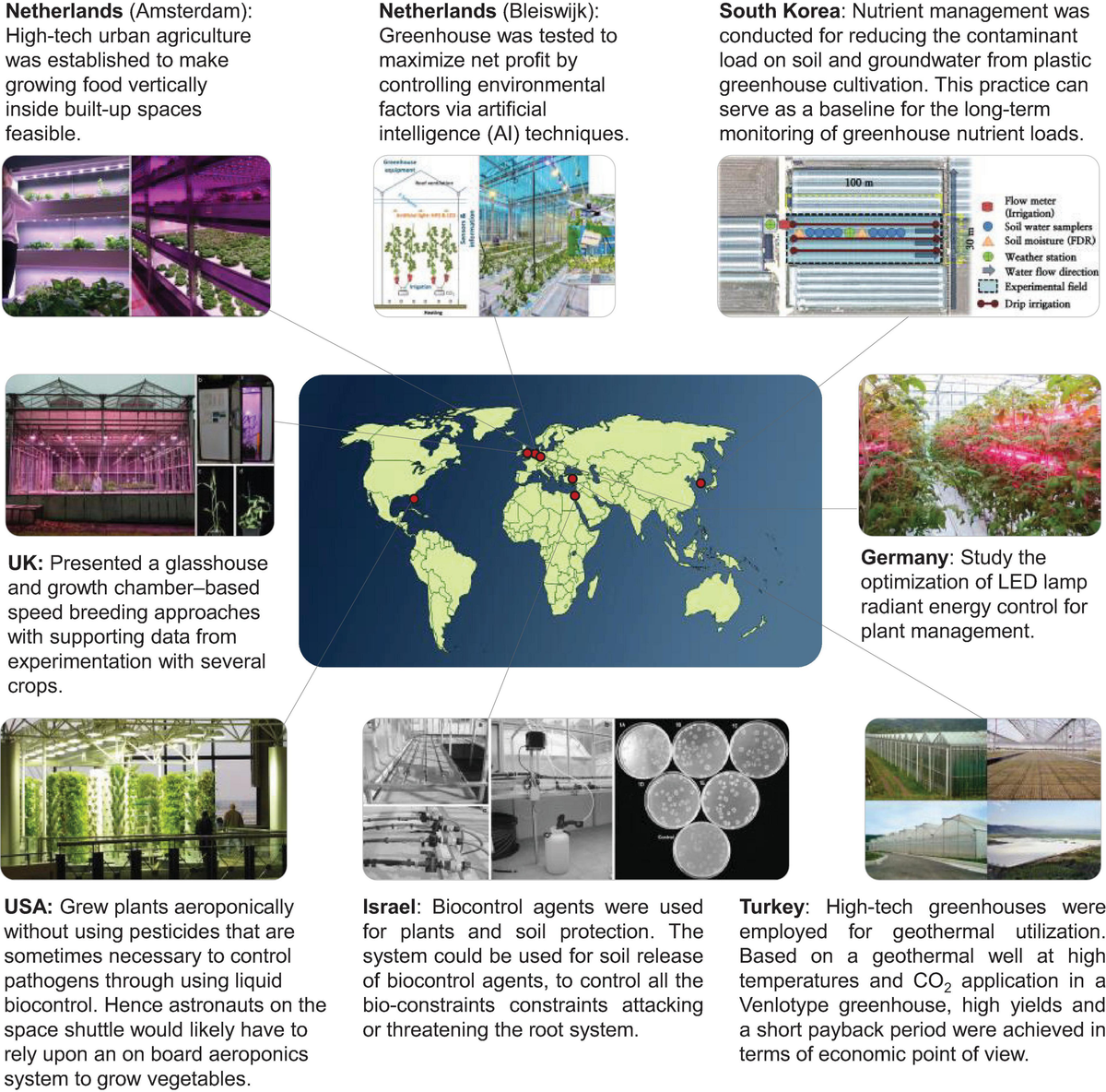 大特価 言い換え ◎植物根圏の英語本 Solute Rhizosphere the in Movement 農学