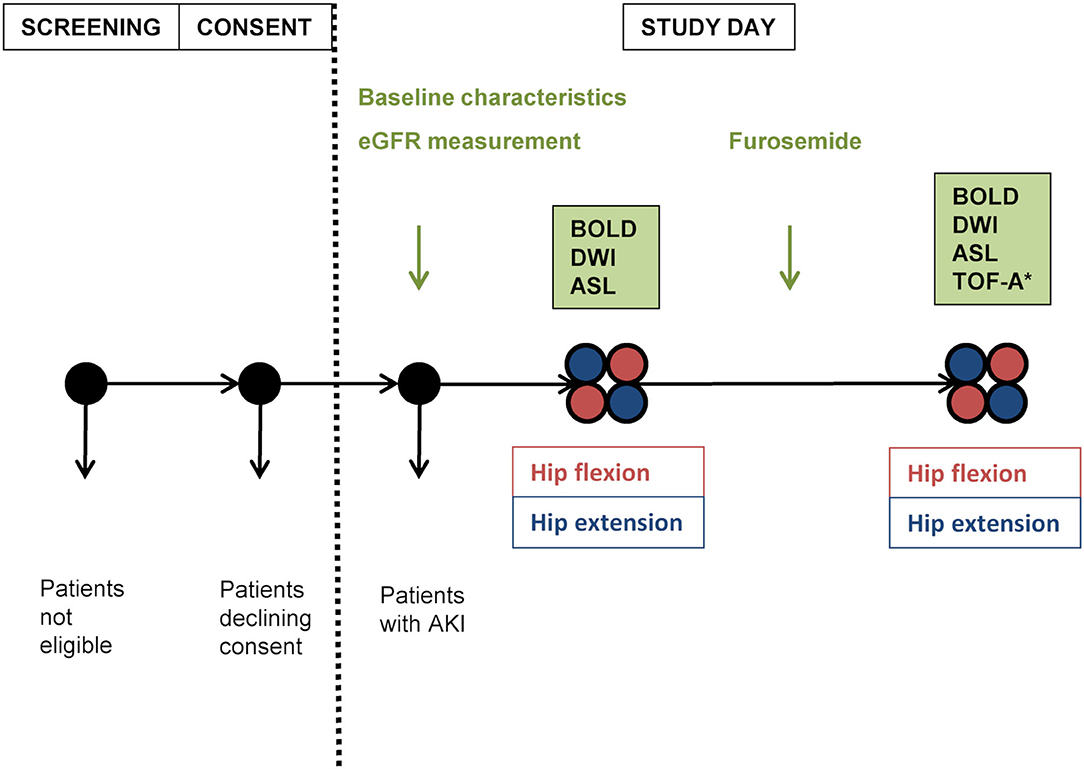 Frontiers | Hip Position Acutely Affects Oxygenation and