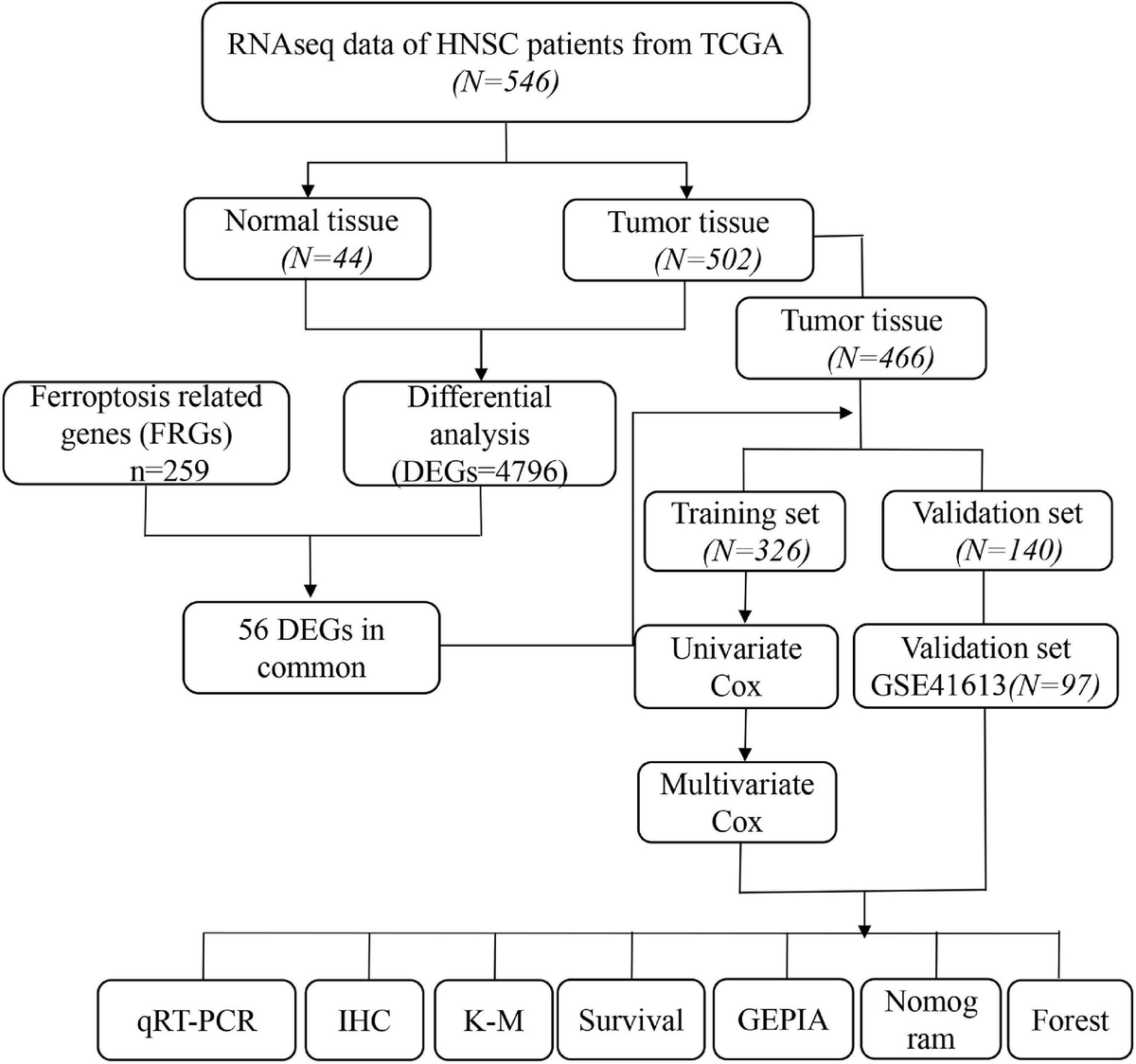 Frontiers | Identification of a Ferroptosis Gene Set That