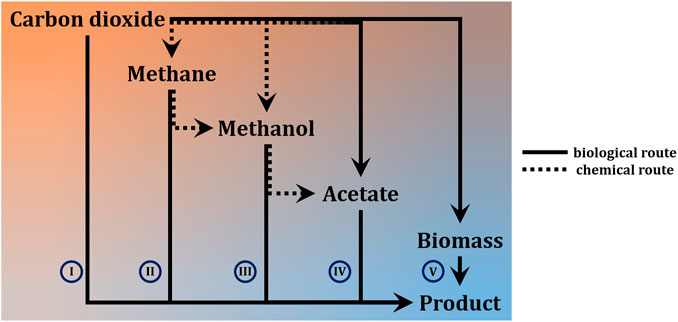 Frontiers Choice of Microbial System for In Situ Resource Utilization Frontiers Choice of Microbial System for In Situ Resource Utilization