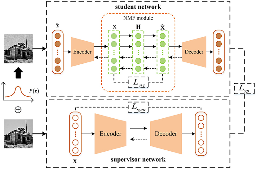 Frontiers | A Deep Non-negative Matrix Factorization Model