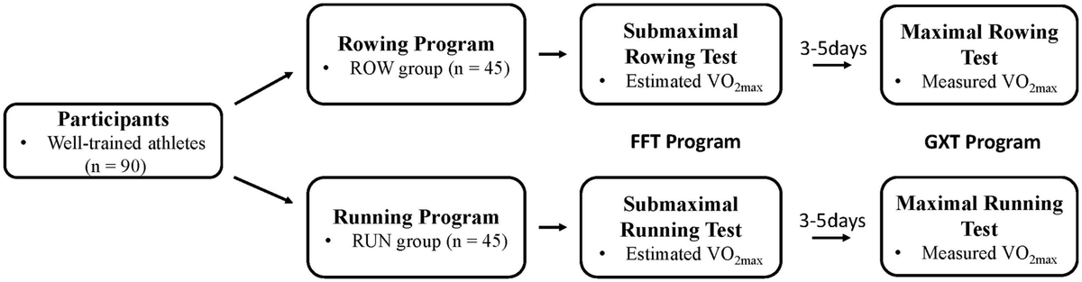 Vo2 max rowing workout top