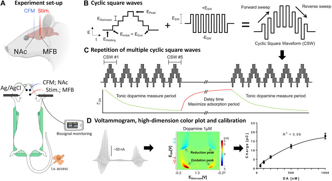 Frontiers | Cocaine-Induced Changes in Tonic Dopamine