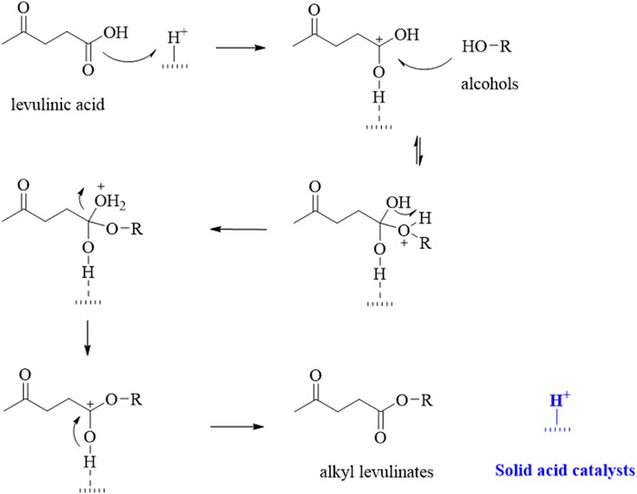 Frontiers | Development of Sustainable Catalytic Pathways