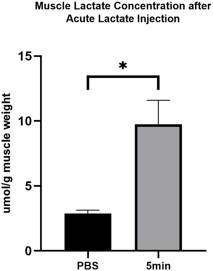Frontiers | The Role of cAMP-PKA Pathway in Lactate-Induced ...