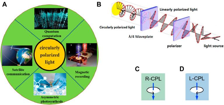 Frontiers | Circularly Polarized Photodetectors Based on Chiral 