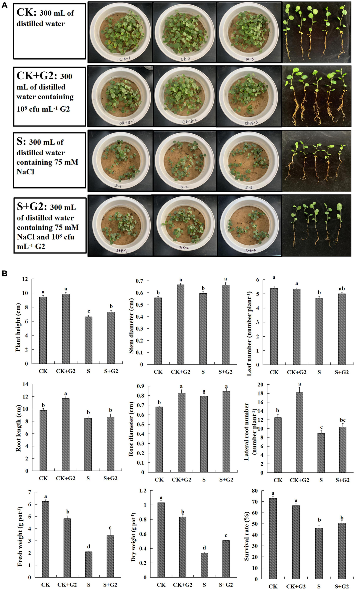 Frontiers Physiological Biochemistry Combined Transcriptomic Analysis