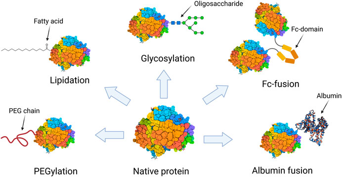 FUSION PROTEIN TECHNOLOGIES FOR BIOPHARM